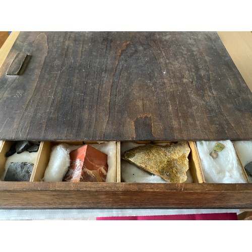 14 - Collection of rocks and minerals in compartmentalized box