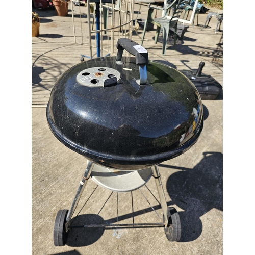Lot 37        