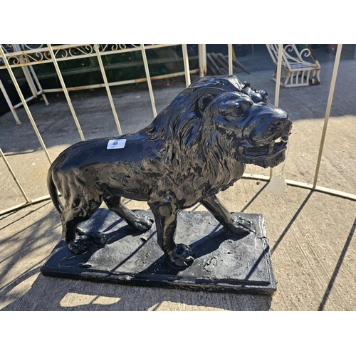 Lot 49        