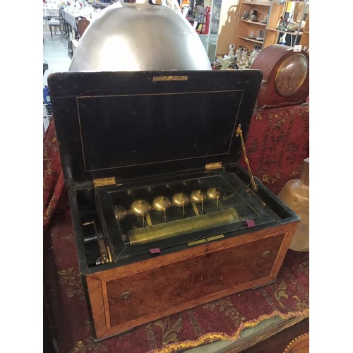 20 - Swiss orchestral music box 5 bells with butterfly hammers in a burr walnut and cross banded case. Wo... 