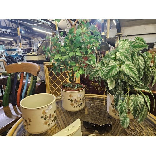 41 - Set of three Vintage plant pots one containing artificial weeping fig plant and one with a Begonia