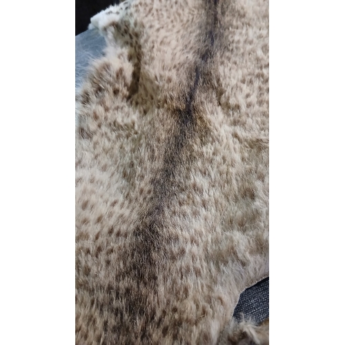Antique Taxidermy snow leopard skin rug