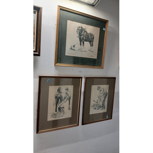 Lot 8         