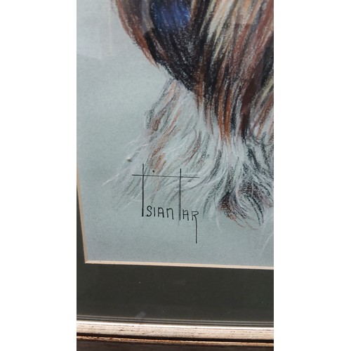 8 - framed collectable artwork, pastel portrait of a German Wirehaired Pointer, signed by artist TSAINTA... 