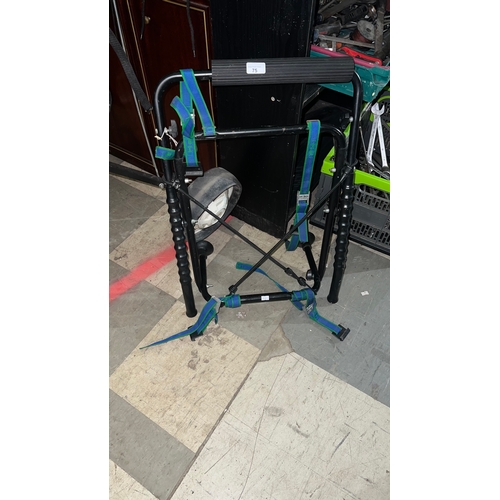 Lot 75        