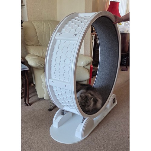 60L - BRAND NEW BOXED (photo for reference )cat exercise wheel treadmill for indoor pet fitness