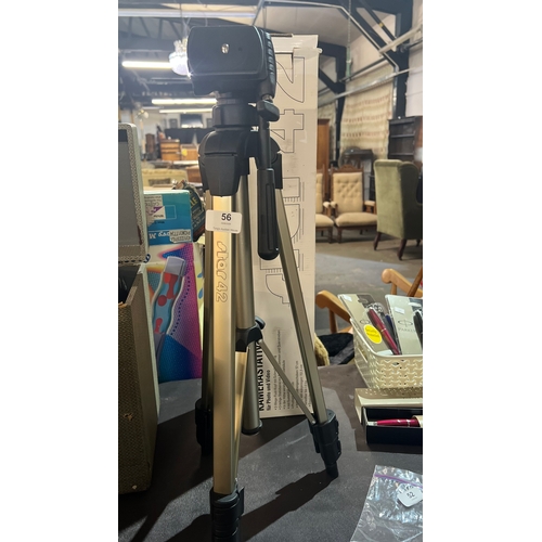Lot 56        