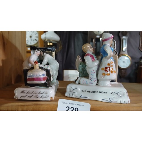 Lot 229X      