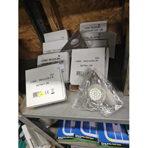 Lot 75        