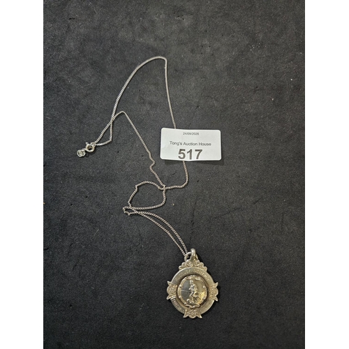 Lot 517       