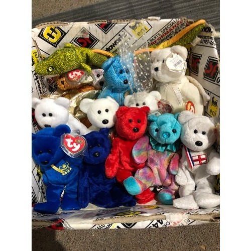 128 - Assorted collection of 15 TY beanie babies