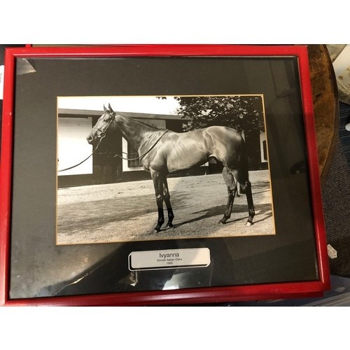 173 - 6 framed Irish racehorse photos