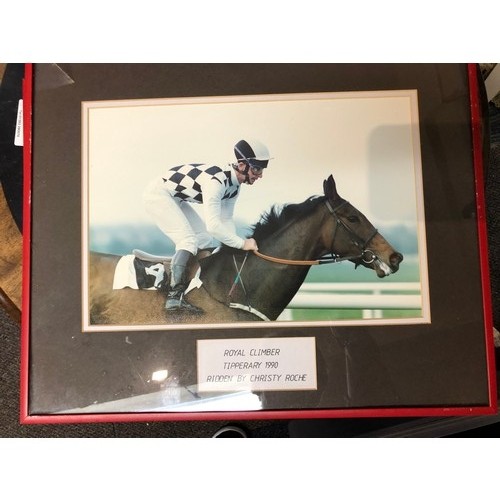 173 - 6 framed Irish racehorse photos