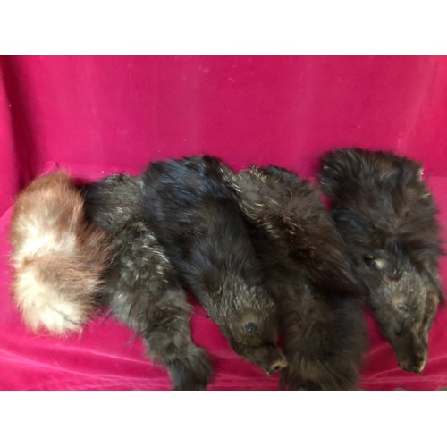 Lot 702       