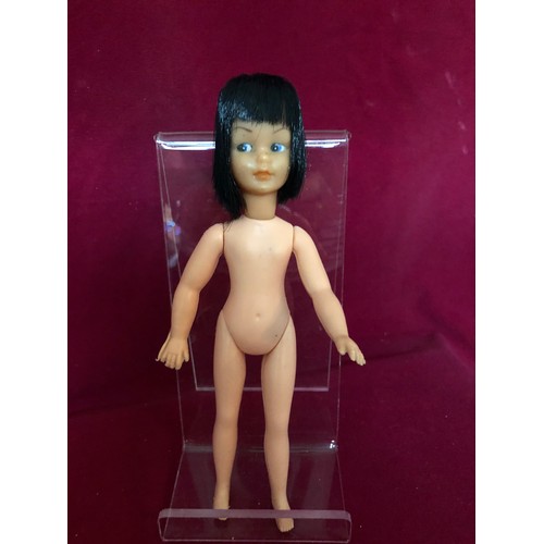 Lot 707       