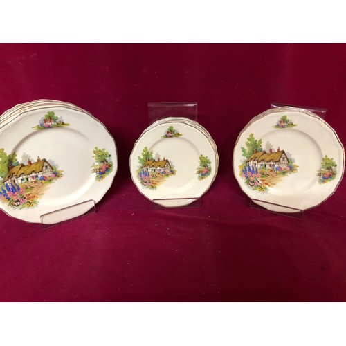 746 - Alfred Meakin dinner service 