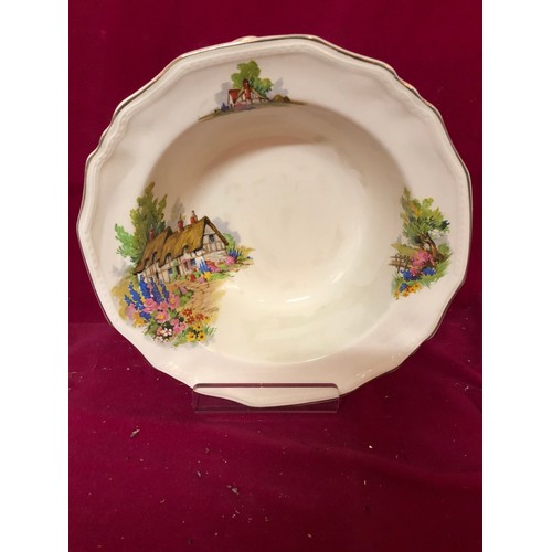 746 - Alfred Meakin dinner service 