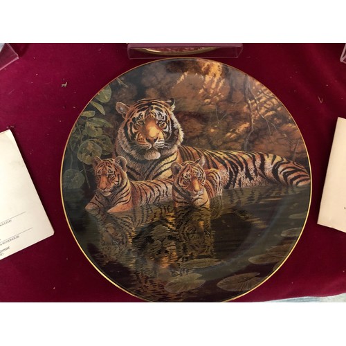 747 - Set of 4 decorative plates by Royal Doulton depicting Tigers