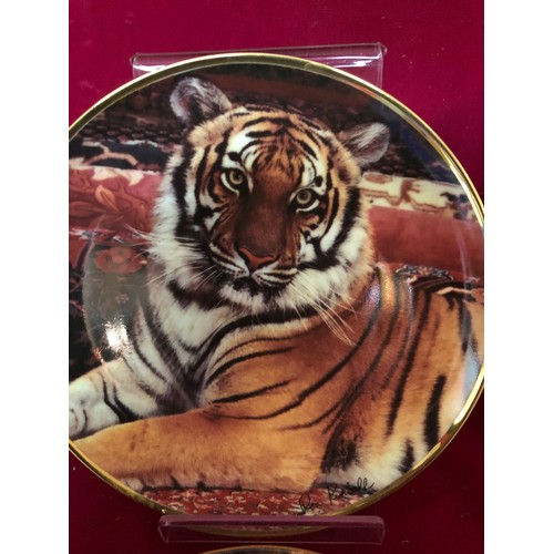 747 - Set of 4 decorative plates by Royal Doulton depicting Tigers