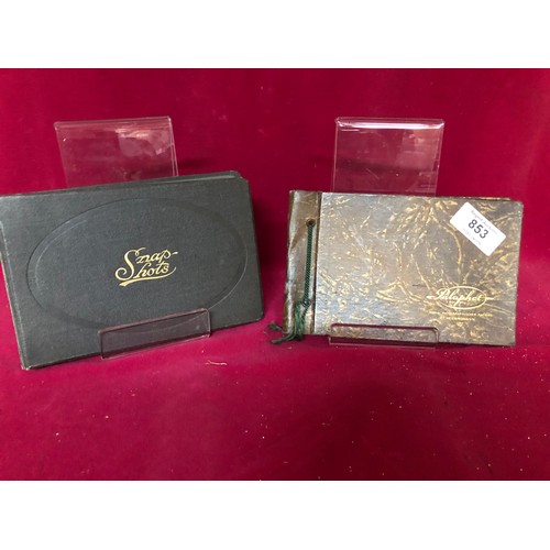Lot 853       