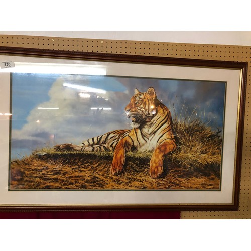 Lot 836       