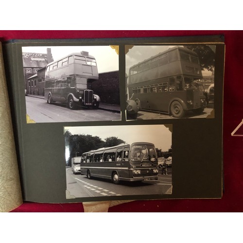Lot 686       