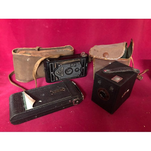 Lot 794       