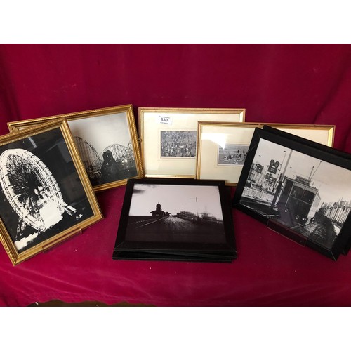 Lot 830       