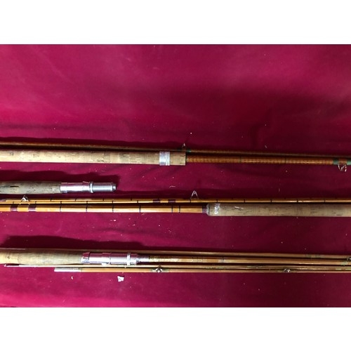 761 - Collection of 3 x fishing rods and fishing umbrella in carry bag