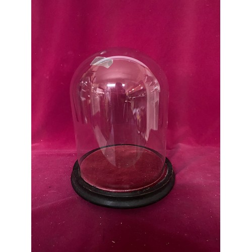 51 - Glass dome with wood base and red velvet trim