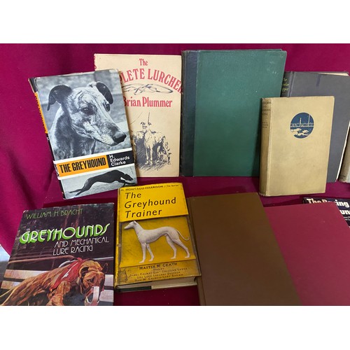 267 - Breeding, Racing and Training Greyhound, Whippet, Terriers, Lurchers Hardback books by H. Montagu Ha... 