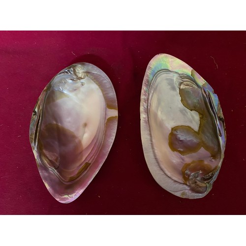 355 - 2 natural Mother of Pearl dishes 19cms across