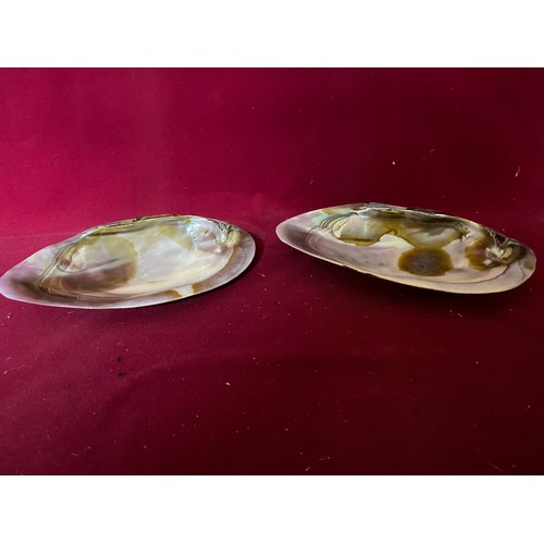 355 - 2 natural Mother of Pearl dishes 19cms across