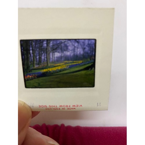 467 - Collection of 35mm slides with viewer.