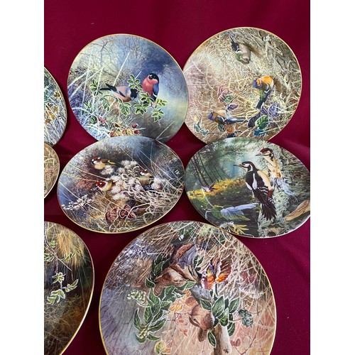 209 - Collection of 3 Wedgewood 'Britain's Beautiful Birds' plates and 8 Coalport 'Frosty Morning' plates