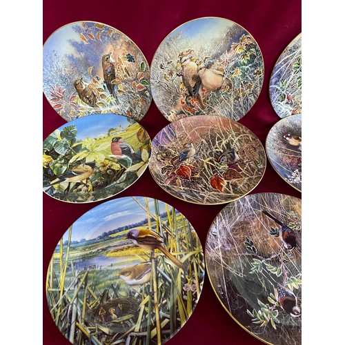 209 - Collection of 3 Wedgewood 'Britain's Beautiful Birds' plates and 8 Coalport 'Frosty Morning' plates