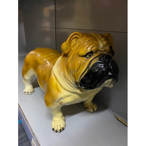 247 - Large ceramic British Bull Dog 70x50cms