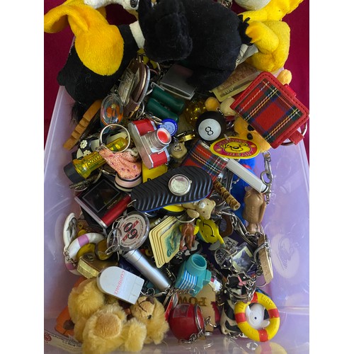 321 - Large collection of assorted key rings