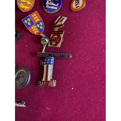 70 - Collection of old badges