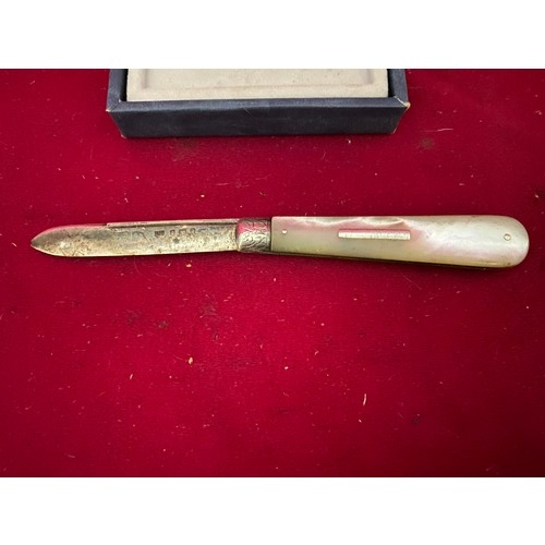 395 - Silver bladed fruit knife