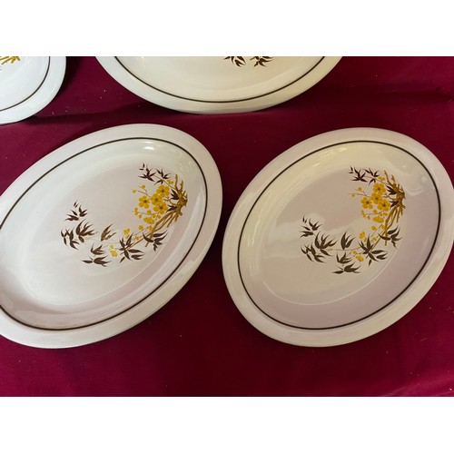 270 - 6 rare 1970's Hornsea Pottery oval dinner plates.