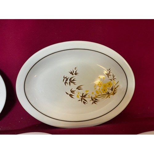 270 - 6 rare 1970's Hornsea Pottery oval dinner plates.