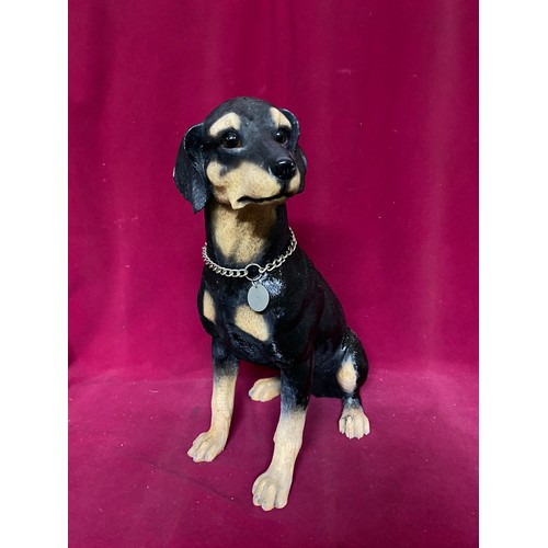 259 - 2001 Leonardo collection Doberman standing 46 cms tall