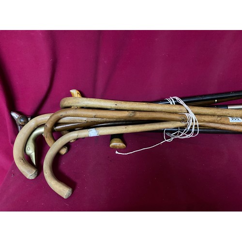 326 - Collection of 11 walking sticks