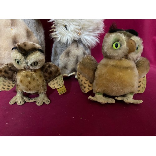 361 - 5 x Steiff owls with largest standing 25cms tall in Steiff box