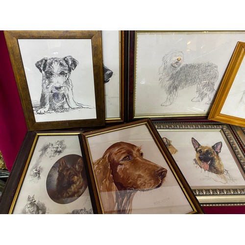 375 - Large selection of framed pictures of dogs