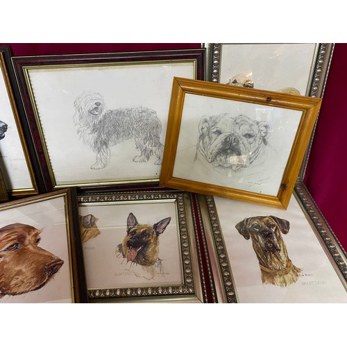 375 - Large selection of framed pictures of dogs