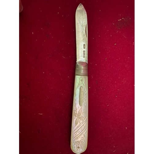 136 - Sterling Silver fruit knife with decorative shell handle.