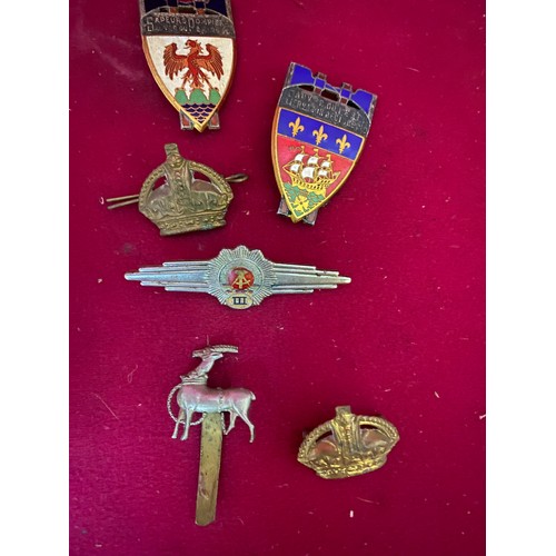 117 - Collection of military badges and pins.