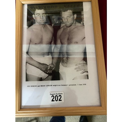 202 - Collection of 10 x framed wrestling pictures and posters